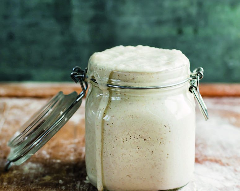 Sourdough starter